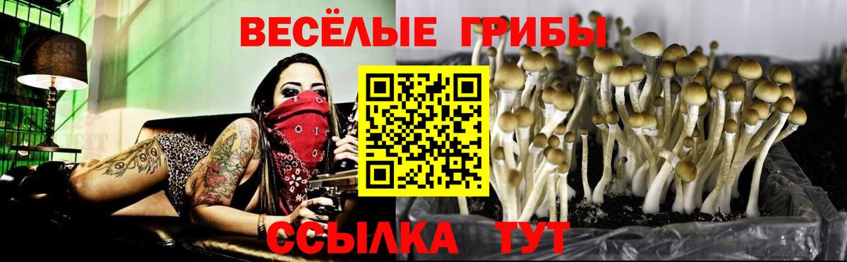 Галлюциногенные грибы Psilocybine cubensis Соликамск